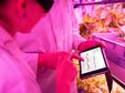 Le Printemps de la Franchise : Entre Innovation, Profitabilité et Responsabilité