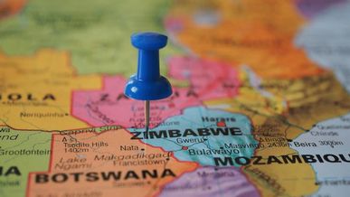 La Franchise en Afrique Francophone – État des lieux, Enjeux et Perspectives