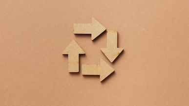 Les franchises écoresponsables : une tendance forte