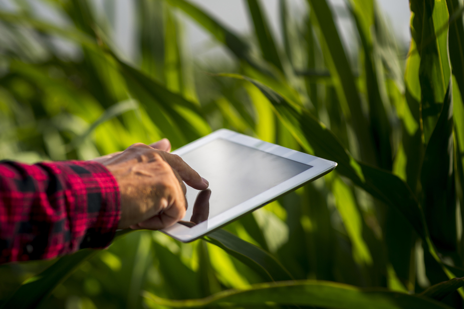 Smart Farm | Premier capteur de sol 100 % tunisien présenté à l’Agri-tech Tunisia : cap sur le Sénégal !