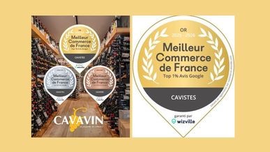 CAVAVIN brille dans le classement WizVille : la satisfaction client avant tout