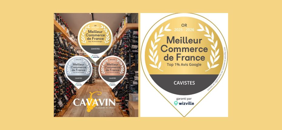 CAVAVIN brille dans le classement WizVille : la satisfaction client avant tout
